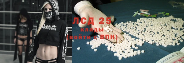 сатива Бугульма