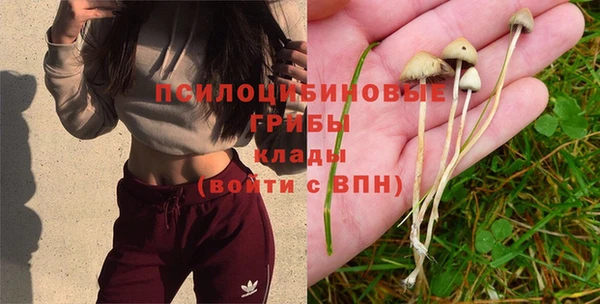 сатива Бугульма