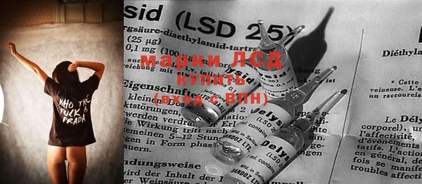 сатива Бугульма